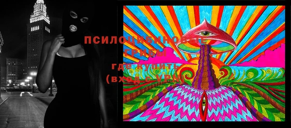 ешки Абинск
