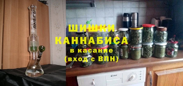 PSILOCYBIN Абдулино