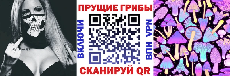 Псилоцибиновые грибы Cubensis  цены наркотик  Трубчевск 